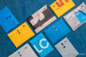 FREITAG SLEEVES FOR LAPTOPS 笔记本电脑包图片