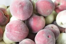 洗桃子时，只用清水很难洗干净，水里加点它，桃毛自动掉下来图片