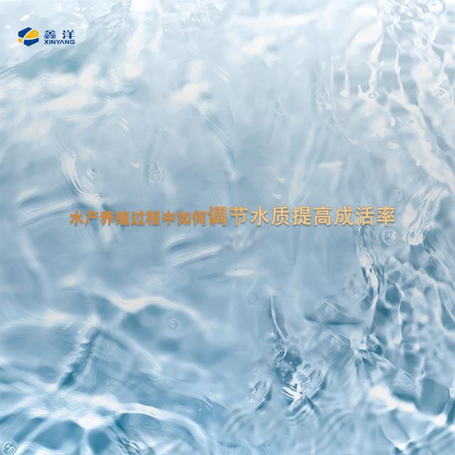 盐城鑫洋水产：哪些产品可调节水质的同时提成活率