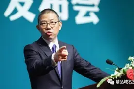 农夫山泉上市背后：“传统型”域名待优化图片