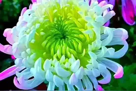 入了心的人，是一辈子的挂牵图片