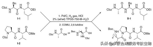 新型的合成肽方法：在水中制备多肽