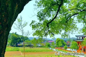 2021年湖北省荆州市中考作文题深度细化解题指导图片