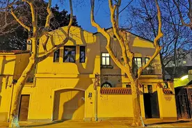 上海和南京的城市风景线“法国梧桐”哪个更美？其实它们源自英国图片