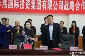 华熙卖玻尿酸赚了那么多钱，安宁的康养项目咋还没动静？图片