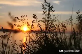 梅艳芳哭了，周星驰悔了：有些事错过了，就是一生……图片