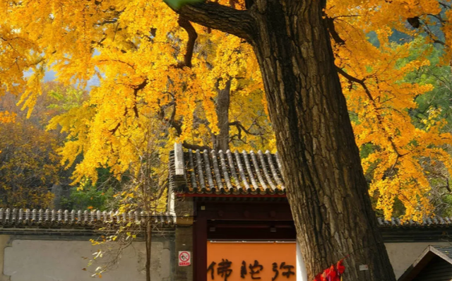 京城十二座著名古寺，祈求什么最灵验？赶紧看过来