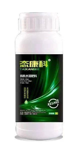 最全的大姜控温管理技术要点在这里，涨知识了！赶快转发收藏！