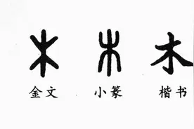 「中国文字」 “木”的含义图片