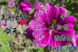生活是条难走的路,高低不平,坎坎坷坷,有喜悦忧伤,交替着向前演绎图片