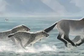 新生代十大顶尖级掠食者图片