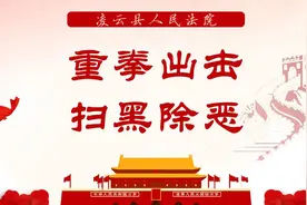 凌云县人民法院首次公开开庭审理“村霸”恶势力犯罪案件图片