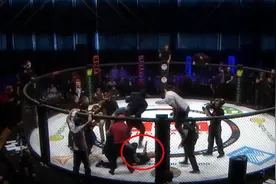 MMA疯狂时刻拳手、观众、裁判，笼内群殴！UFC啥的弱爆了图片