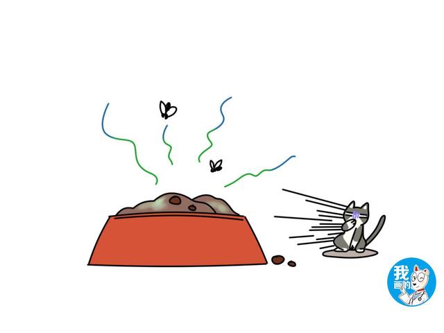 辟谣：猫咪不会流口水？有一种流口水叫多涎症，甚至会危及生命