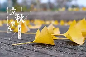 立秋前后，这5种菜抓紧吃，好吃营养赏味期短，错过只能等明年图片
