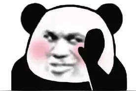 熊猫表情包图片