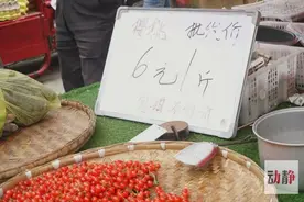 樱桃六元一斤！贵阳市最便宜的菜市场又熙熙攘攘，老贵阳味十足图片
