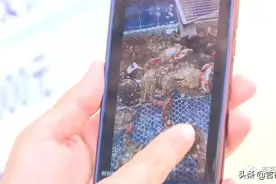 这是一条有味道的新闻...图片