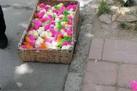 小鸡来嗨，卖小鸡来……图片