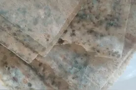 节俭夫妻用雨水洗衣洗脸图片