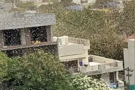 来了！印度首都高度警戒！图片