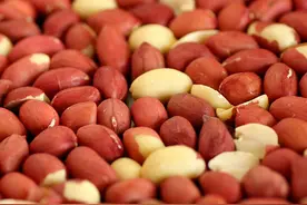 常常被人忽略，小小一粒，坚果中的富二代，毁誉参半，说花生图片