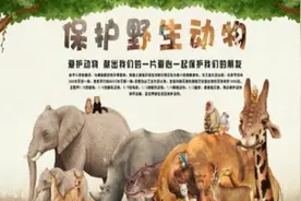 环保科普 | 科普视频之“保护野生动物该怎么做”图片