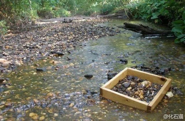 养分含量超高的营养土，自己在家也能做，省下一大笔 买花钱