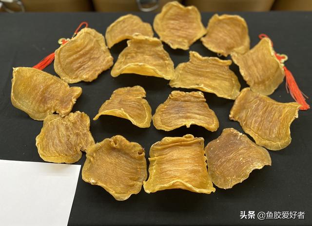 红鸡花胶 2026年红鸡花胶的功效和作用