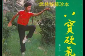 莫文丹八宝门概述图片