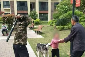 哈士奇咬住小女孩不松口，男子持棍多次猛打视频封面