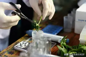 农药残留超标用什么仪器检测进行检测呢？图片