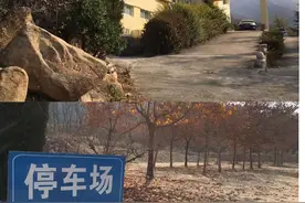停摆近6年的长清凤凰岭要复活了！水发文化拟接盘图片