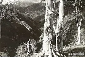 ​二战时期澳门为何躲过倭军占领，真的与葡萄牙前殖民地巴西有关吗图片