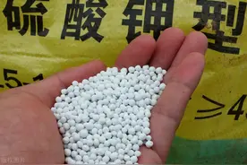 复合肥：如何辨别真假？4个小窍门，简单易学，准确可靠图片