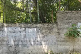 记者探访杭州野生动物世界现状：外墙最低只有一米五，墙外增加了巡逻，园内正加装监控图片