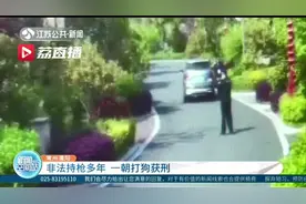 小区有流浪狗出没 保安拿出私藏多年的枪支打狗：非法持有并使用，获刑图片