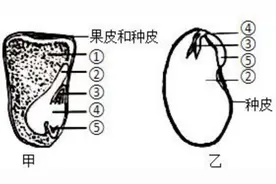 分享2021年临沂市初中学业水平考试生物试题，如你所愿，文字答案图片