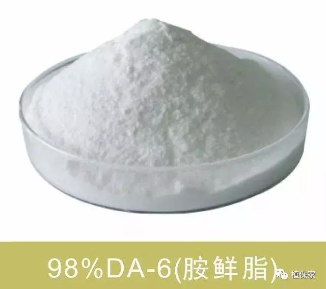 注意！这些“水溶肥”千万别买