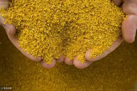 中小养猪散户选择饲料的误区，为什么要用全价料呢？图片