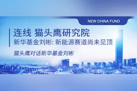 新访谈 | 新华基金刘彬：新能源赛道尚未见顶图片