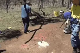 向大蚂蚁窝中倒进熔融铝水，没想到收获精美艺术品，看得人眼图片