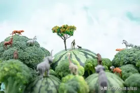 微缩摄影真这么神奇？99%还原《奇幻森林》，剩下一分是童真图片