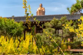 鲁西南名气最大的小县城，即将拥有第二座高铁站，人口却不断流失图片