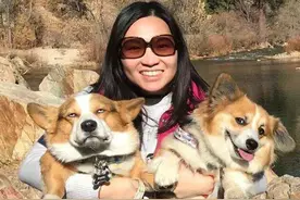 养柯基犬好吗？网友：养它有这5个好处，不想养其他了！图片