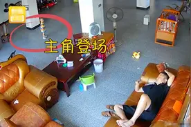 河南一宝爸看见萌娃回来立马装睡，不料萌娃抄“家伙”把爸爸敲醒图片