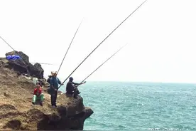 口香糖钓黄鳝图片