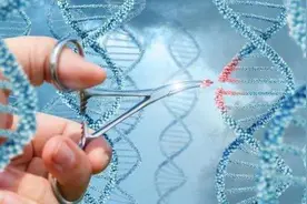 连古人都不懂近亲繁殖的危害，那动物又是如何懂得并规避近交的？图片