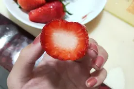 被呵护的人才能吃草莓尖尖，草莓尖尖真的更好吗？农业人：不一定图片