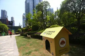 贵阳水东路街道探索建设“三感”社区图片